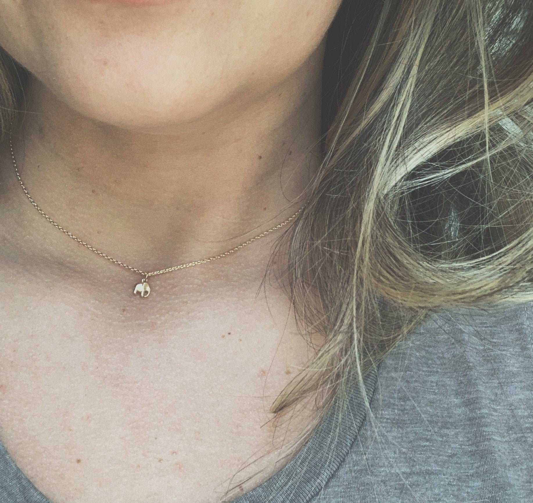 Elephant Necklace Model