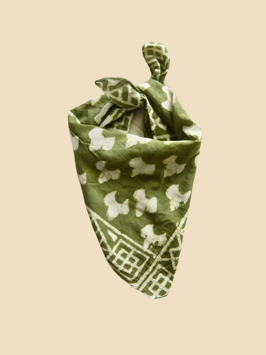 The Terra Bandana Feature